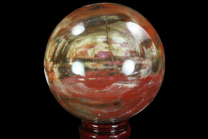 Bargain, Colorful Petrified Wood Sphere - Madagascar #92995